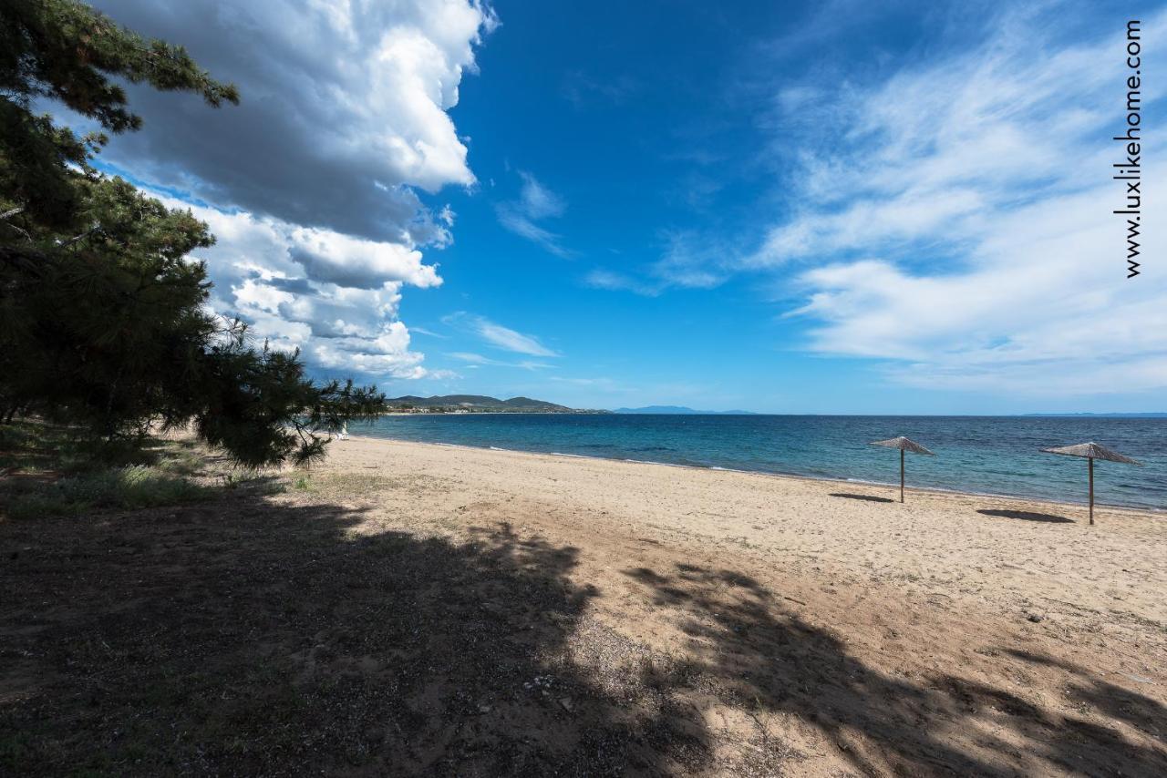 #Luxlikehome - Mediterranee Beachfront Summer House Kalyves Polygyrou Экстерьер фото
