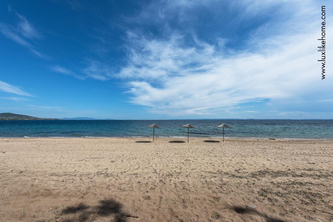 #Luxlikehome - Mediterranee Beachfront Summer House Kalyves Polygyrou Экстерьер фото
